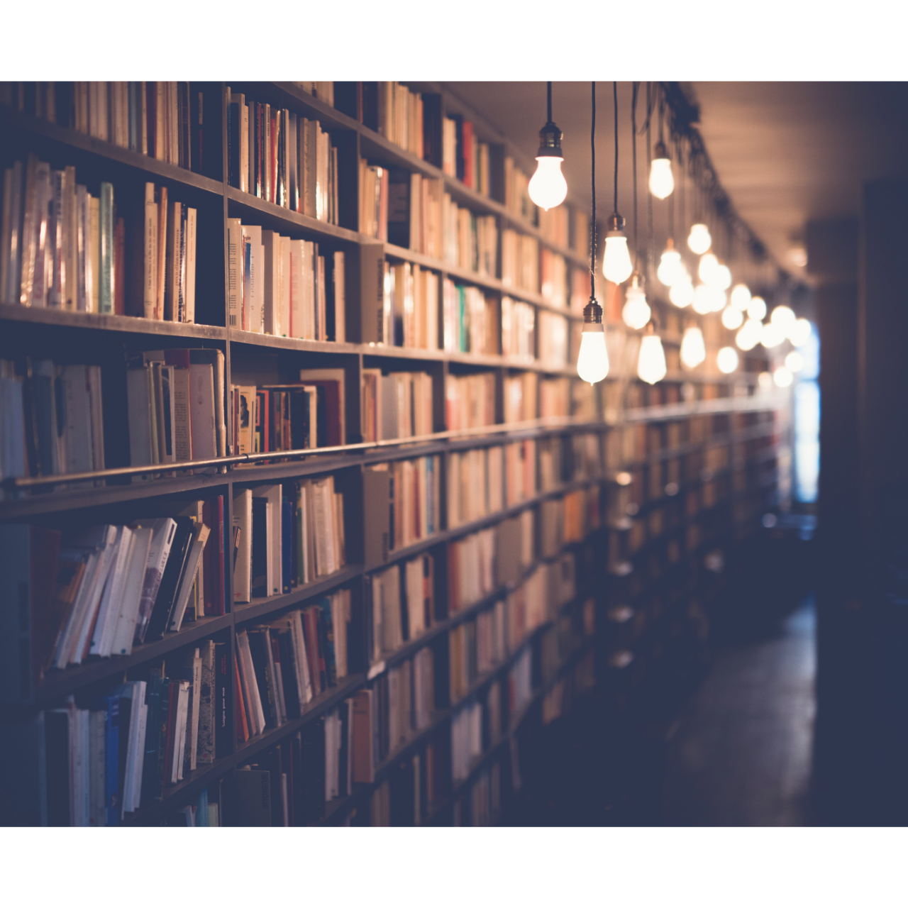Interface Documentation Maturity Levels (IDML): An Introduction